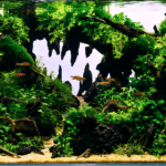 A Piece of Nature - A Piece of Nature (AGA 2024 #190) - Aqua Plants Hub