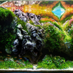 The great cave in the land of Moriah - Aqua Plants Hub