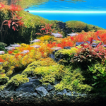 Layout 20 - Aqua Plants Hub