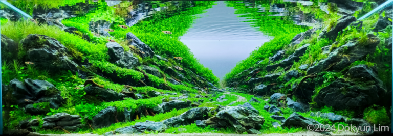 Boundary of Life