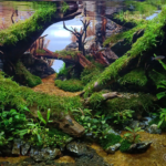 Suralaya peak - Suralaya peak (AGA 2024 #201) - Aqua Plants Hub