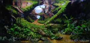 Suralaya peak - Suralaya peak (AGA 2024 #201) - Aqua Plants Hub