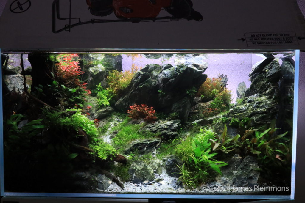 Masons Playground - Aqua Plants Hub