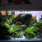 Masons Playground - Aqua Plants Hub