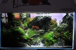 Masons Playground - Aqua Plants Hub