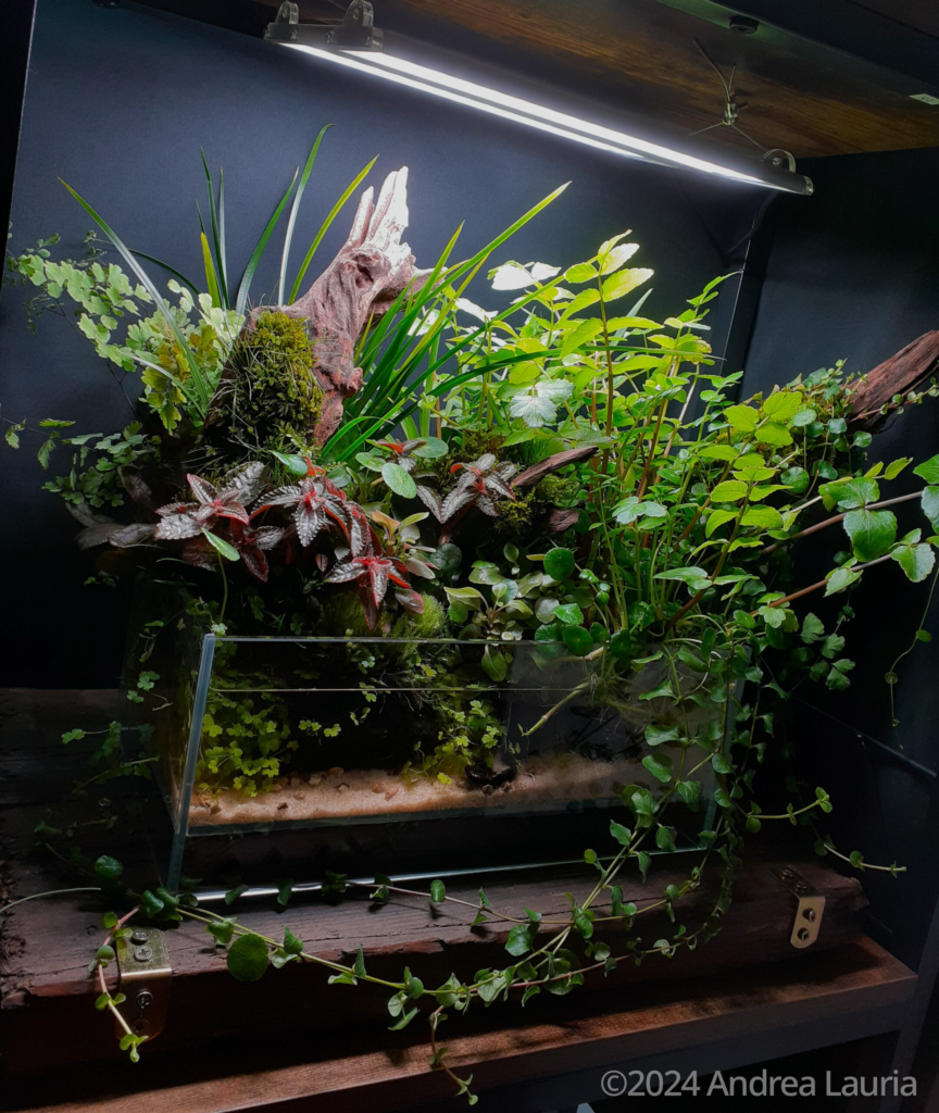 Uncontrollable Nature - Aqua Plants Hub