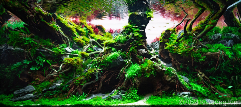 Time of roots
