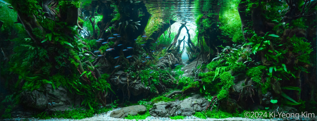 Always Green - Aqua Plants Hub