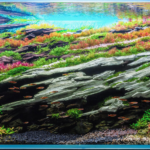 Covered in Green Again - Aqua Plants Hub