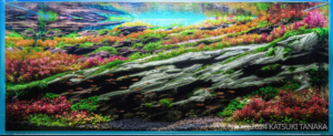 Covered in Green Again - Aqua Plants Hub