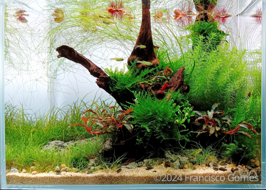 Nature’s Breeze - Aqua Plants Hub