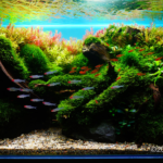 FLOW - FLOW (AGA 2024 #245) - Aqua Plants Hub