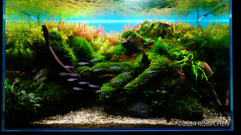 FLOW (AGA 2024 #245)