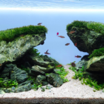 Entry of the god into valhalla - Aqua Plants Hub
