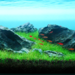 Emerald Oasis - Aqua Plants Hub