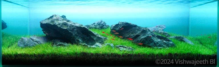 Emerald Oasis