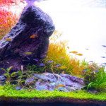 The Savior - Aqua Plants Hub