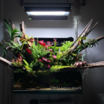 Jungle Puddle - Aqua Plants Hub