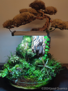 Primeval jungle - Aqua Plants Hub
