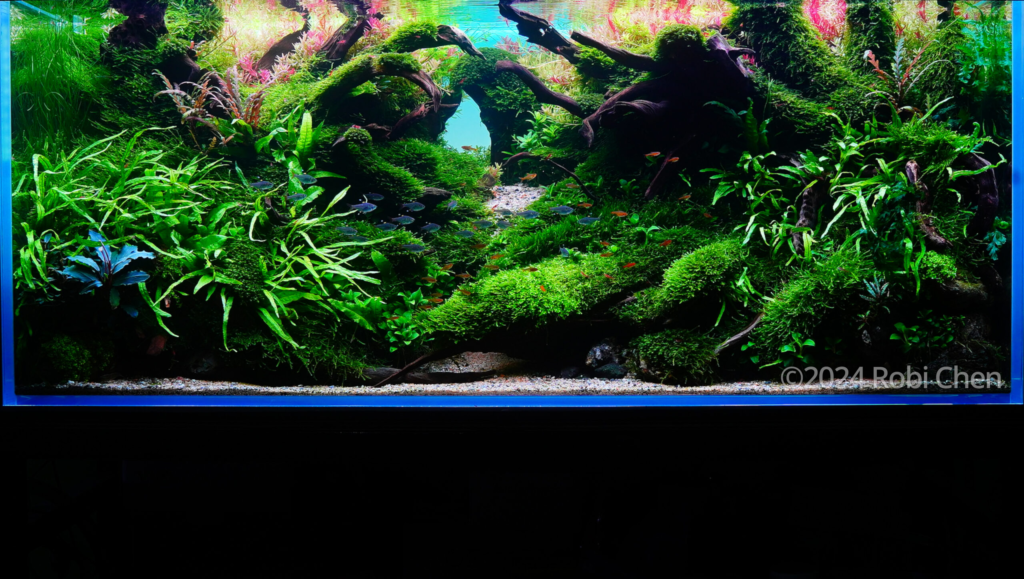 Dynamic - Aqua Plants Hub