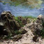 Before the Storm - Aqua Plants Hub