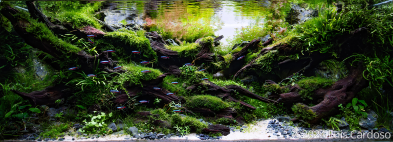 Quietitude of Nature