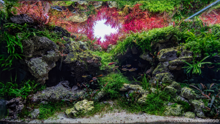 Caves