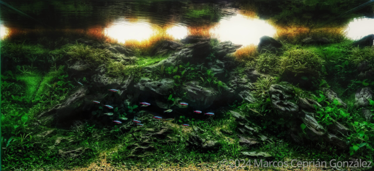 Emerald Wilderness