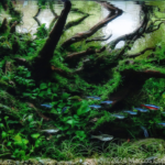 Verdant Tranquility - Aqua Plants Hub