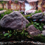 Bondolan Peak - Aqua Plants Hub