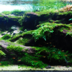 BREATH OF THE HABITAT - Aqua Plants Hub