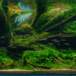 Estuarine - Aqua Plants Hub