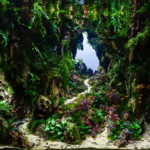 Passage - Passage (AGA 2024 #322) - Aqua Plants Hub