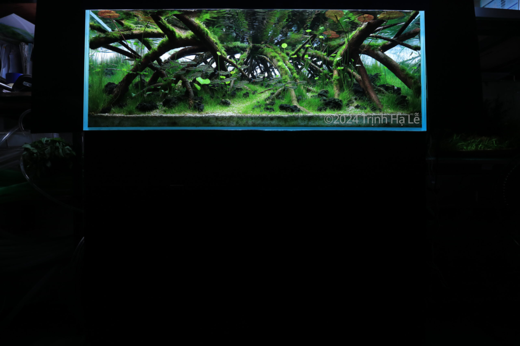 Leap - Aqua Plants Hub