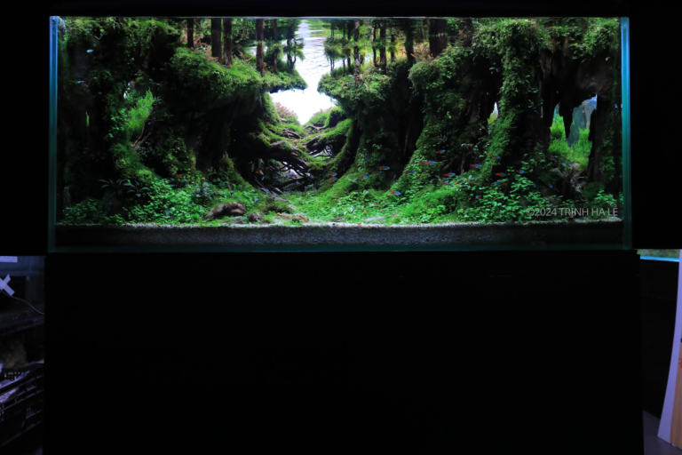 RUINS