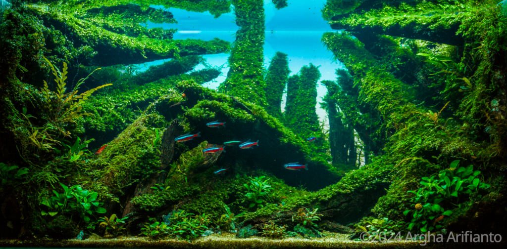Free palestine - Aqua Plants Hub