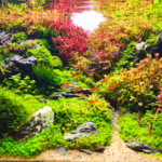 Pico dos Marins - Aqua Plants Hub