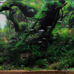 Reserved forest - Aqua Plants Hub