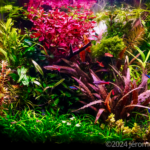 Little Island - Aqua Plants Hub