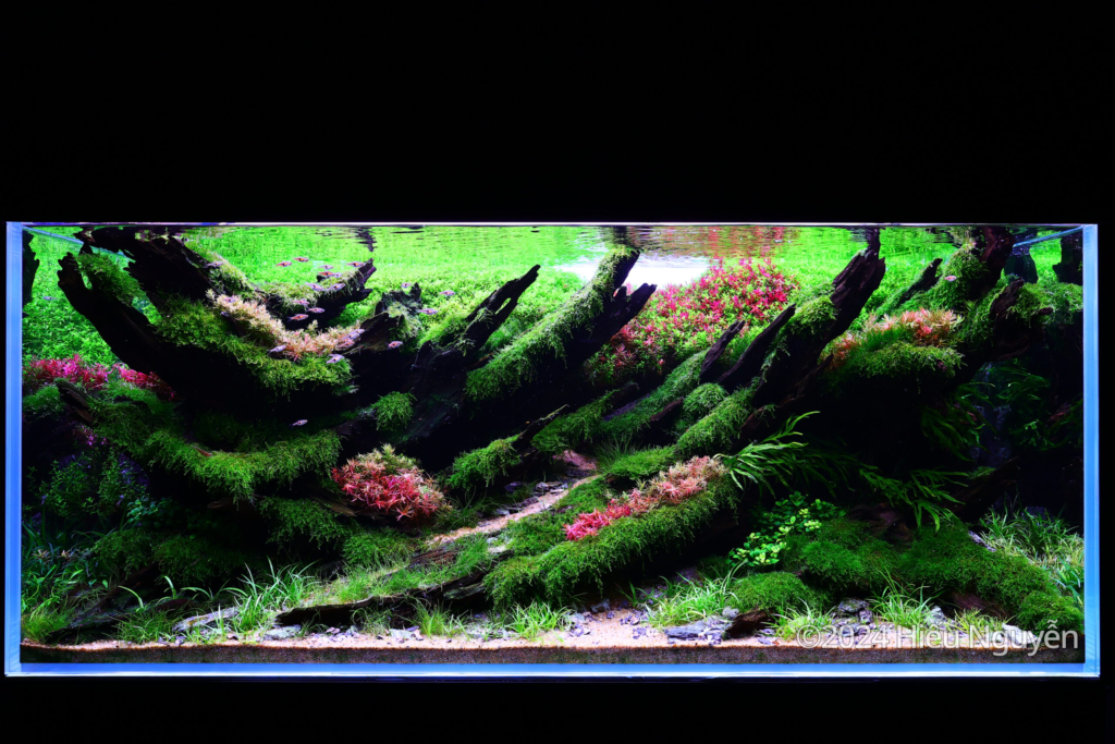 NEXUS OF LIFE - Aqua Plants Hub