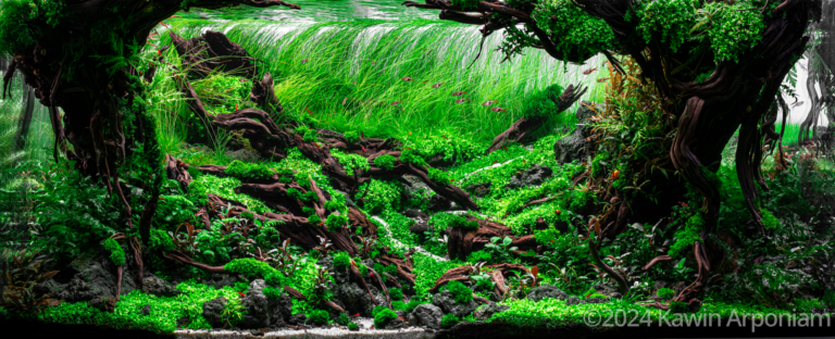 Hidden Paradise
