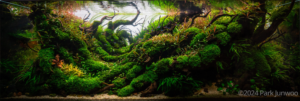 The Threshold of Autumn - Aqua Plants Hub