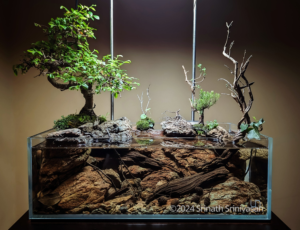 CREEKBED 2.0 - CREEKBED 2.0 (AGA 2024 #374) - Aqua Plants Hub
