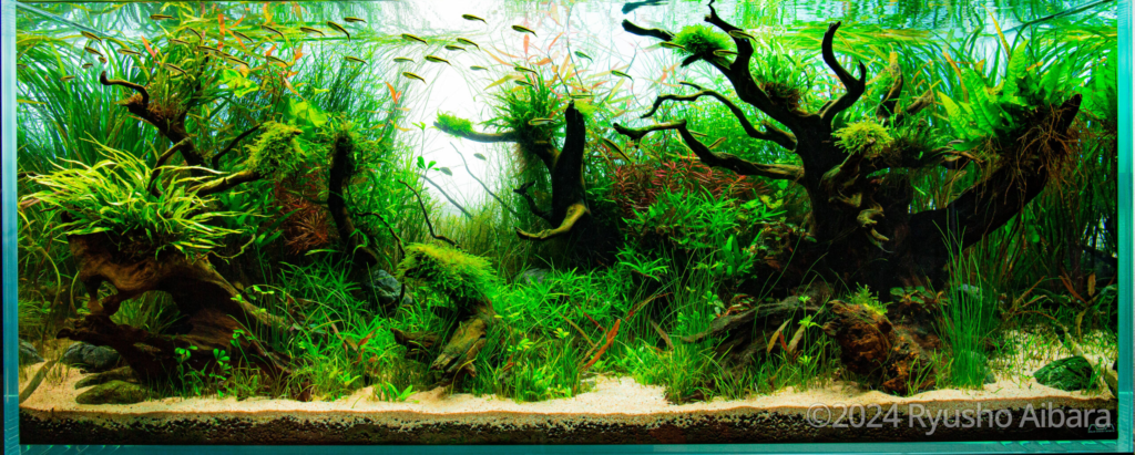Hunting - Aqua Plants Hub