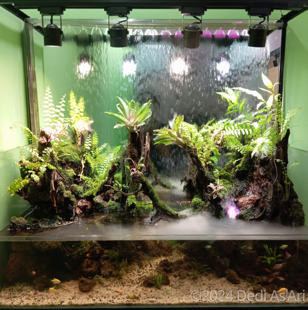 Rawa Jambi - Aqua Plants Hub