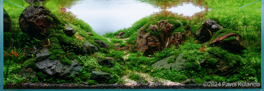 Rolling Hills - Aqua Plants Hub
