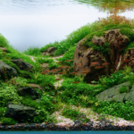 Rolling Hills - Aqua Plants Hub