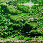 Giwing revolutions - Aqua Plants Hub