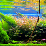 The Ape-land - Aqua Plants Hub
