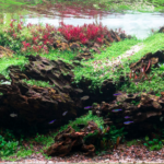 Geological Heaven - Aqua Plants Hub